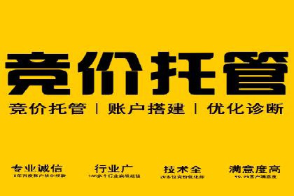 SEM外包助力企业海外市场拓展案例